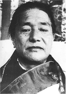H. H. Dudjom Rinpoche